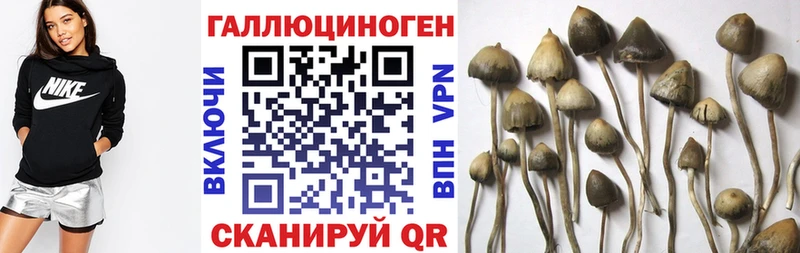Купить  Моздок  Галлюциногенные грибы ЛСД 