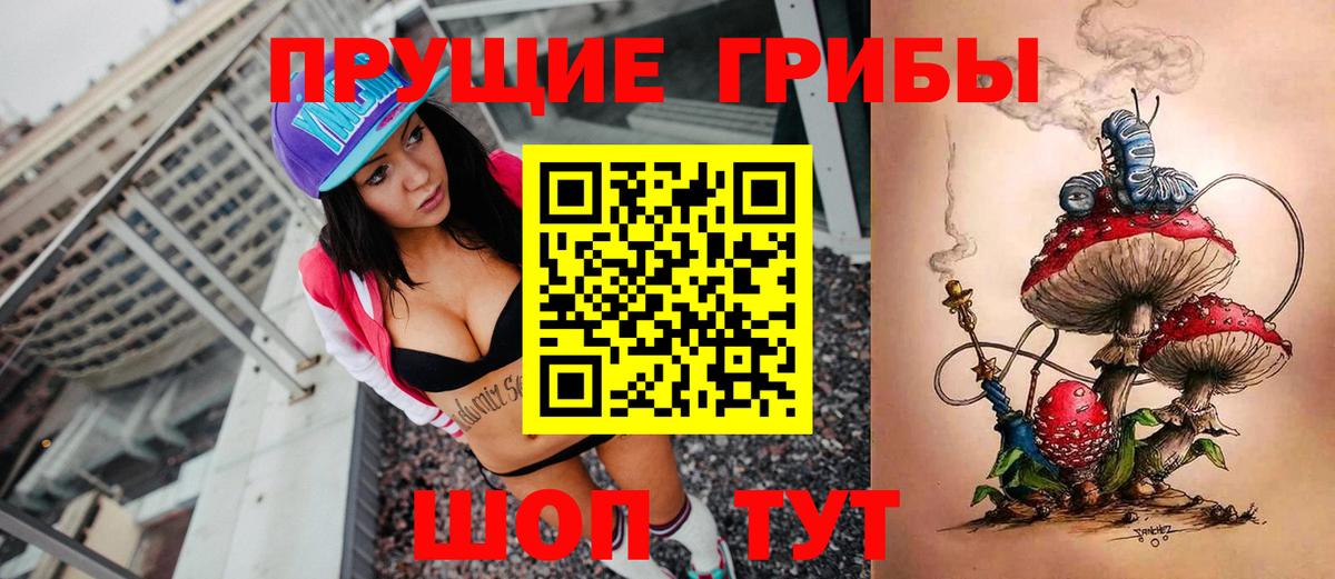 Псилоцибиновые грибы Psilocybe Моздок