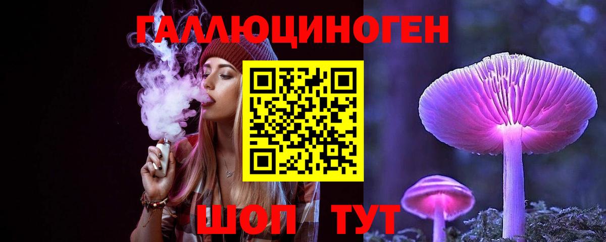 даркнет сайт  Моздок  Галлюциногенные грибы Psilocybine cubensis  Галлюциногенные грибы Magic Shrooms 