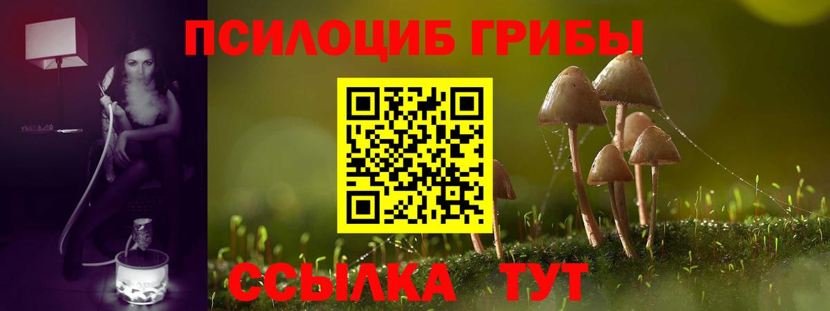 Моздок  Галлюциногенные грибы Psilocybine cubensis  Вход с VPN  Галлюциногенные грибы Magic Shrooms 