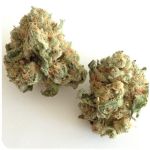 Шишки "White Widow"  (Белая вдова)  Гидропоника -  Бошка VHQ в Моздоке